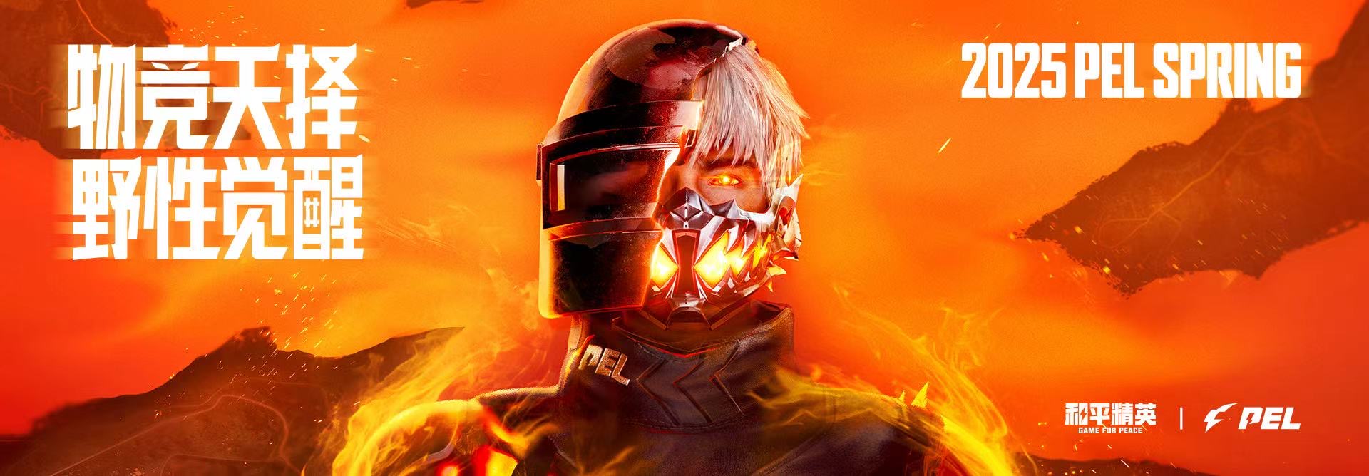 如何识别和防范和平精英游戏中的外挂行为